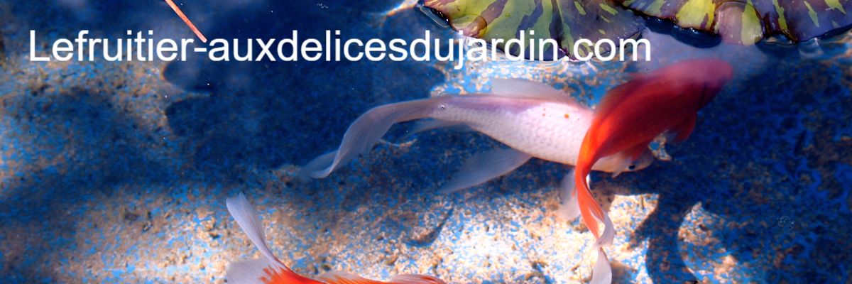 lefruitier-auxdelicesdujardin.logichouseblog.com